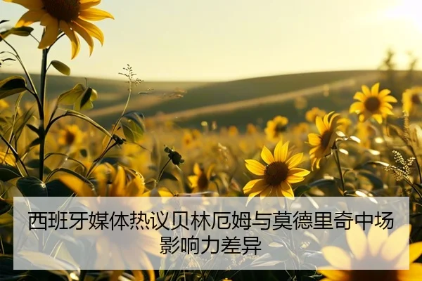 西班牙媒体热议贝林厄姆与莫德里奇中场影响力差异
